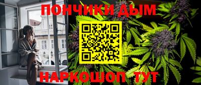 крисы Лесосибирск