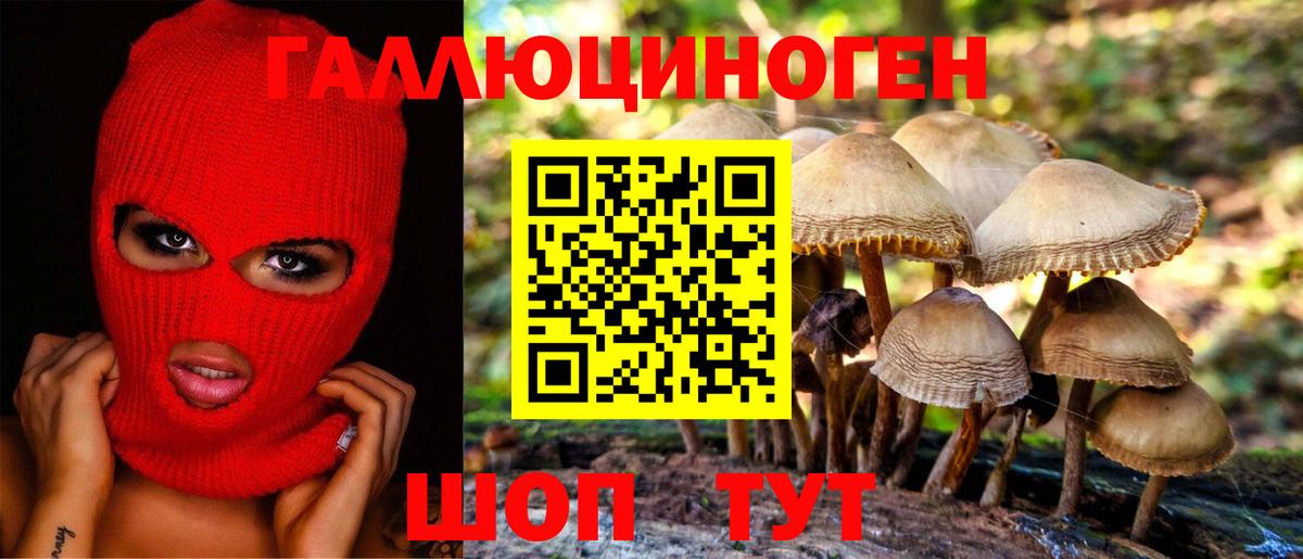 Галлюциногенные грибы Psilocybine cubensis  Вход с VPN  Удомля 